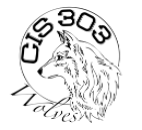 CIS 303 Logo